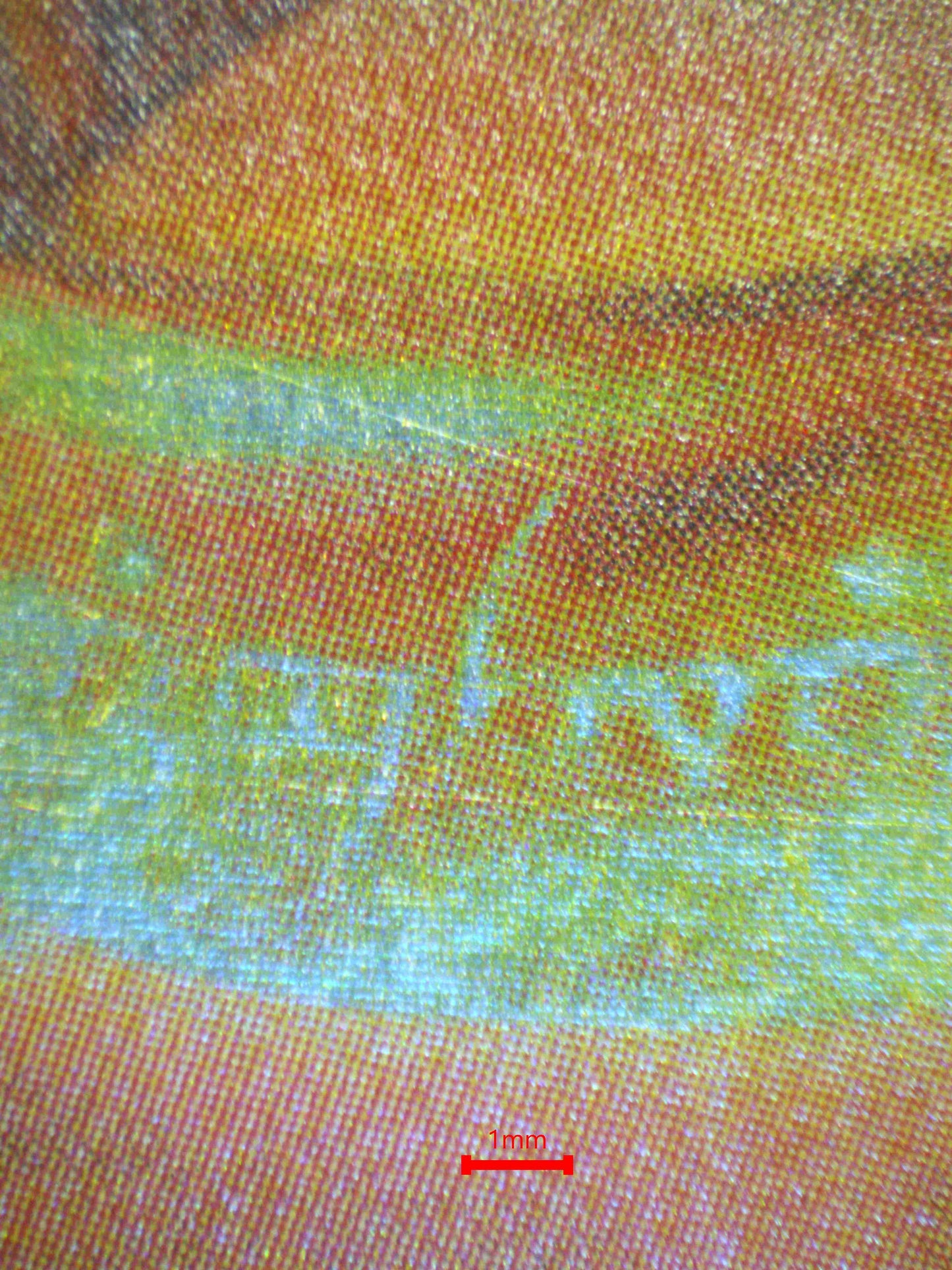 07152 THE ONE RING Grading Card