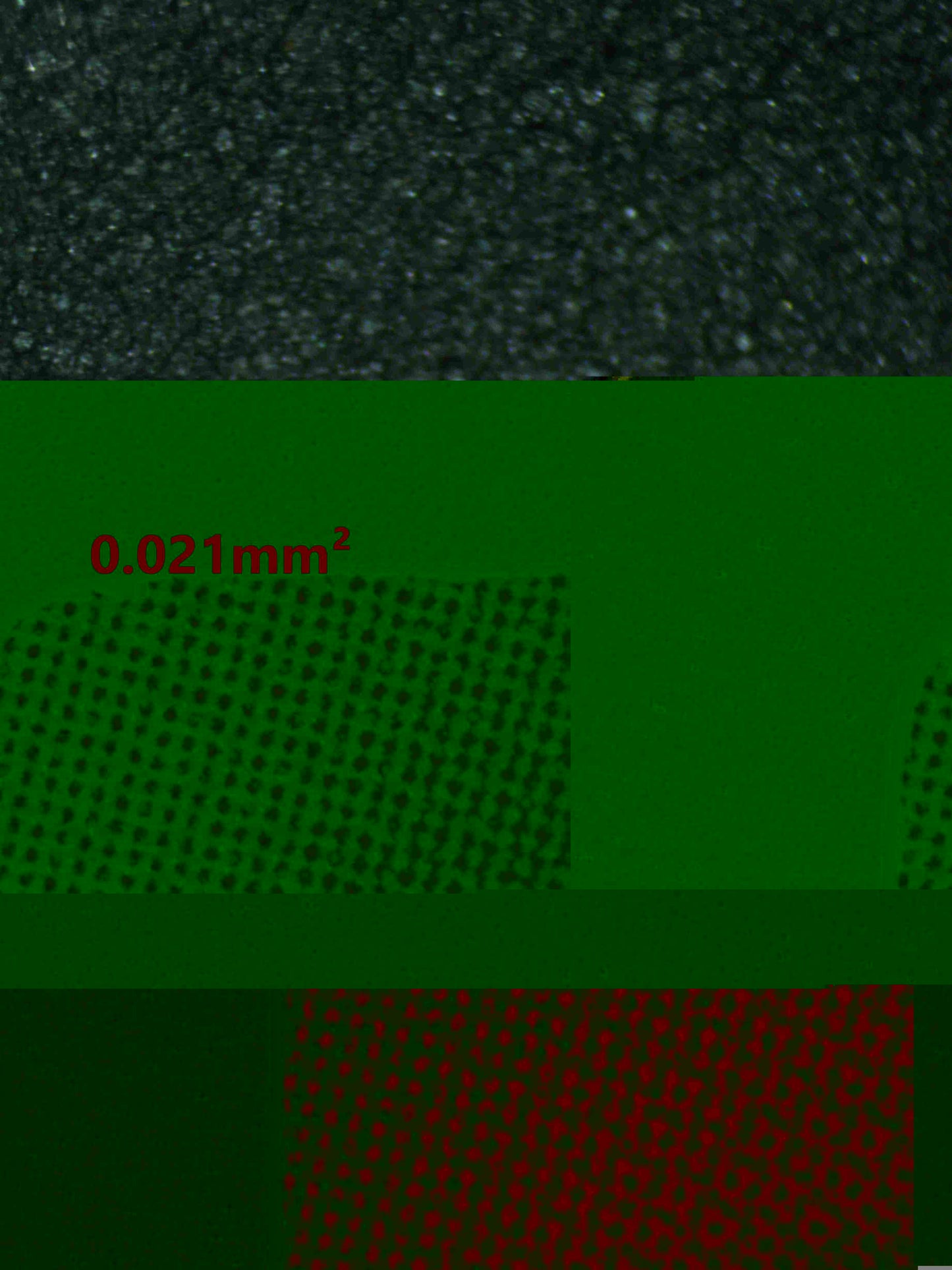 07166 DARK MAGICIAN Grading Card