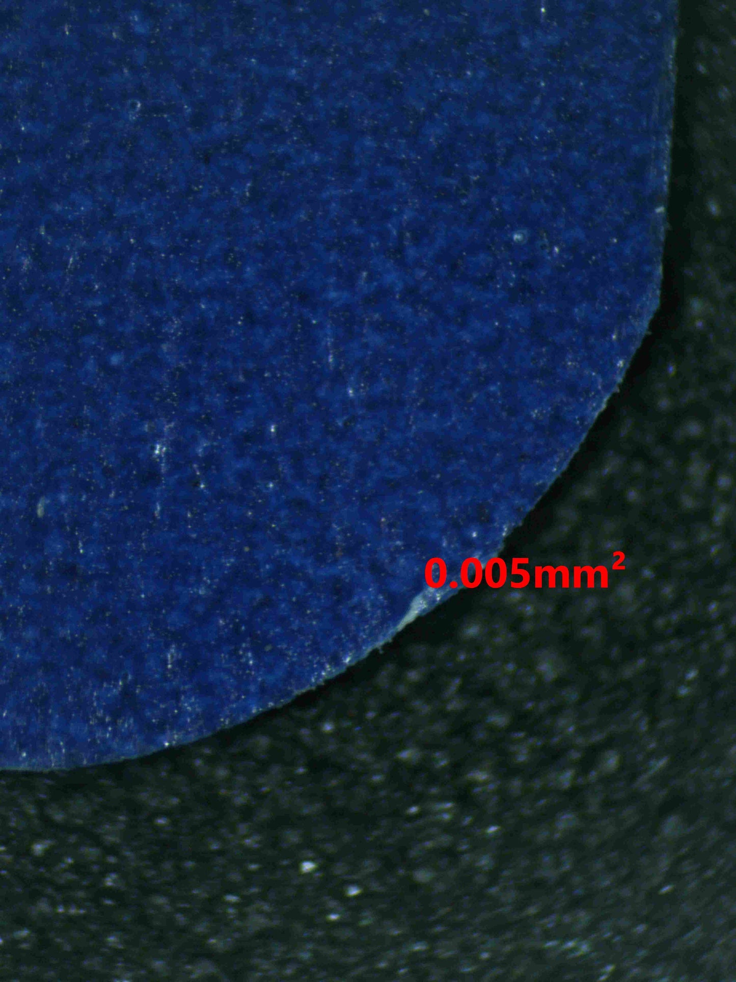 07179 GARCHOMP EX Grading Card