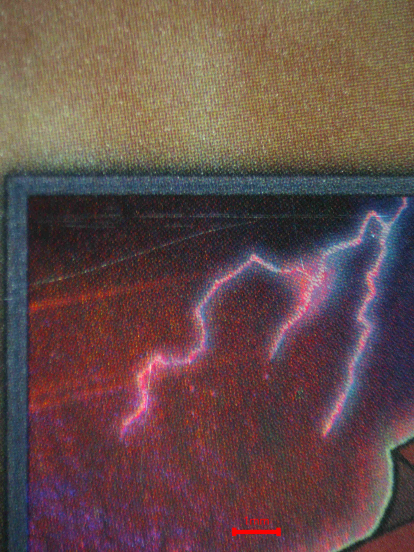 07309 GO! - D/D/D DIVINE ZERO KING RAGE (NORTH AMERICA) Grading Card