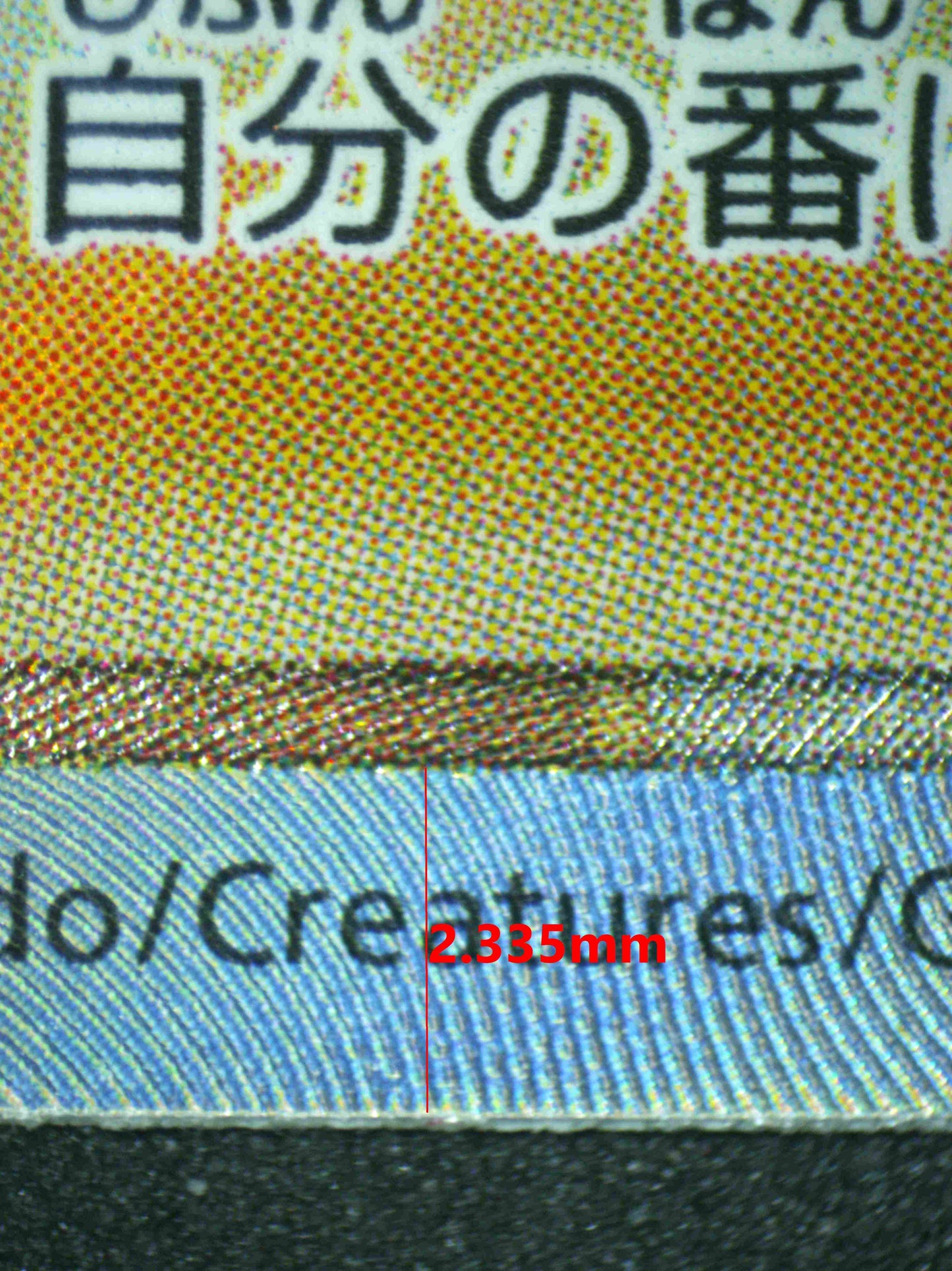 07357 MELONY (JAPANESE) Grading Card