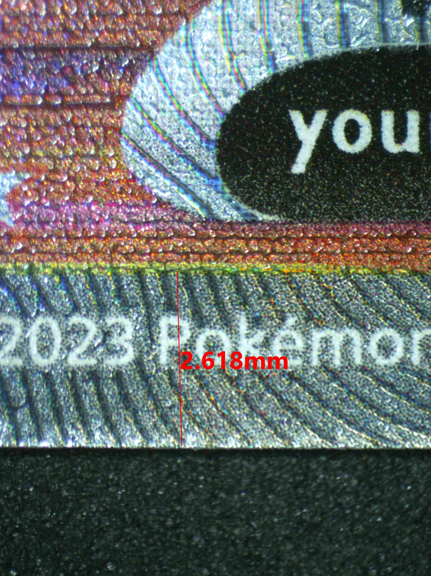 07389 RAIKOU V Grading Card