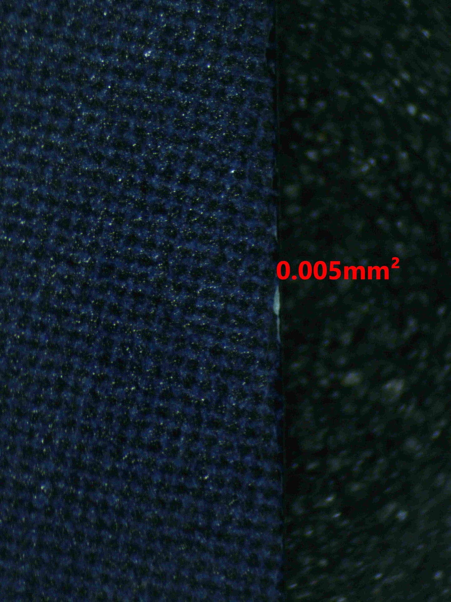 07476 CHARLOTTE PUDDING Grading Card