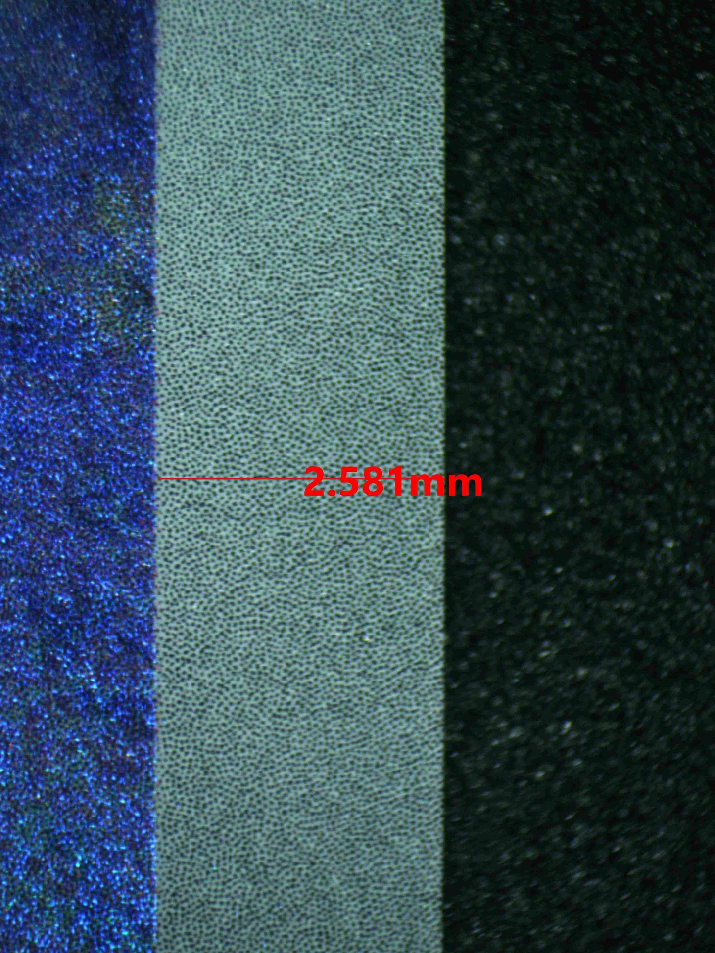 07530 WARTORTLE (SPANISH) Grading Card