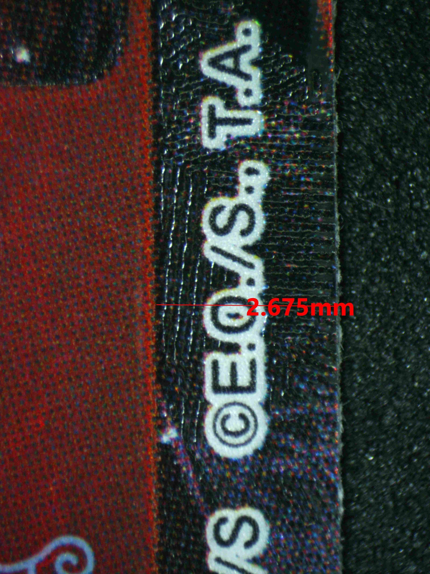 07551 SHANKS Grading Card