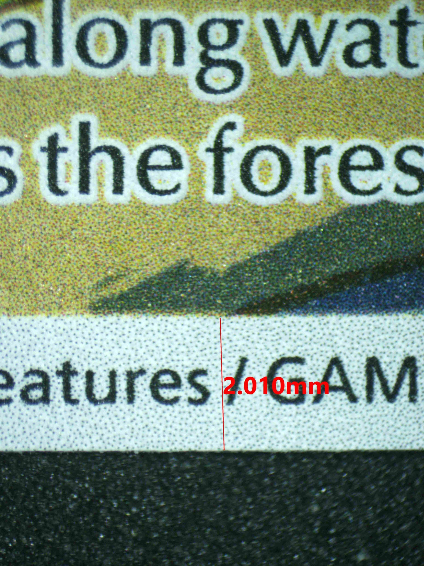 07566 GROTLE Grading Card