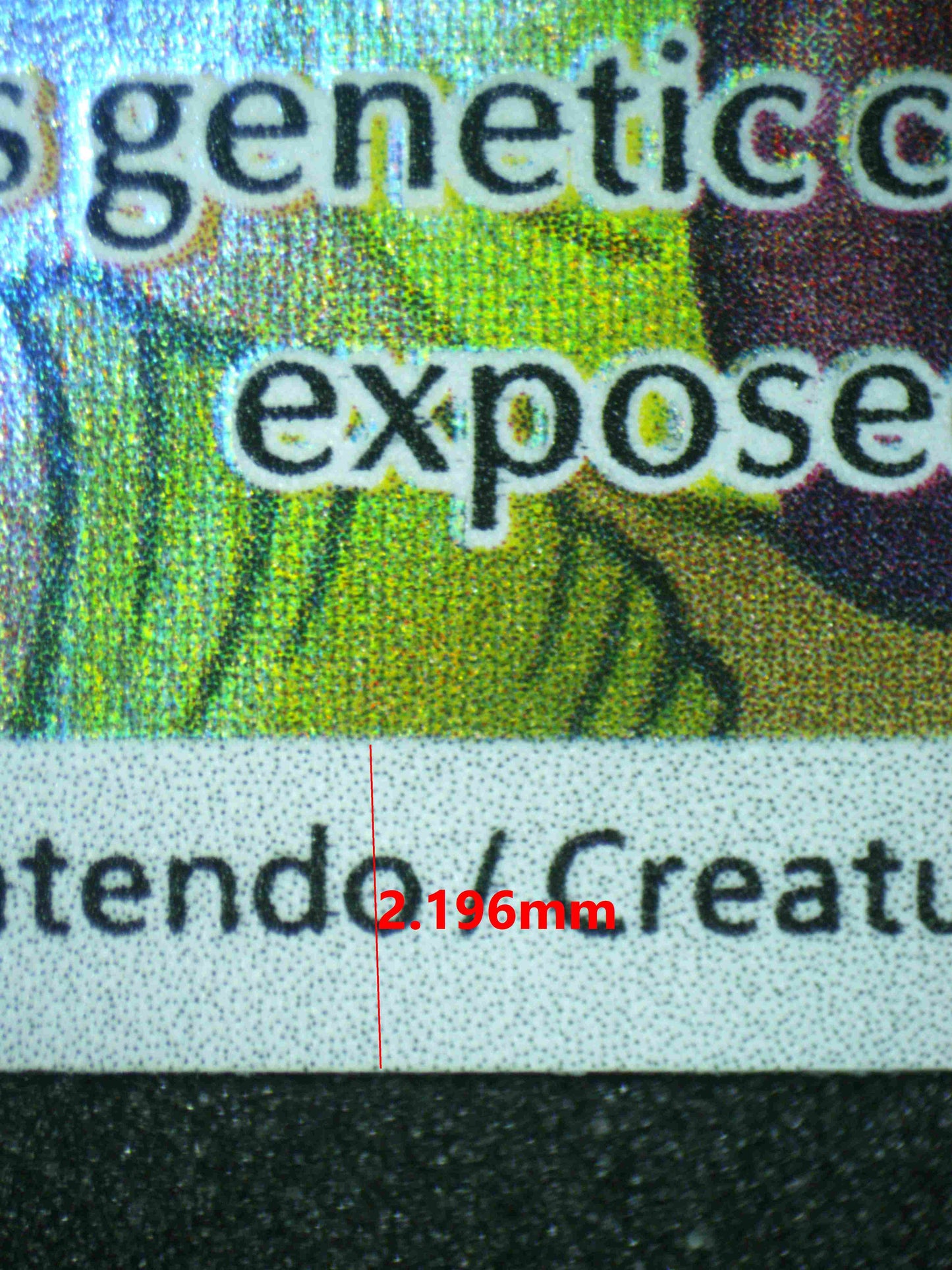 07575 EEVEE Grading Card