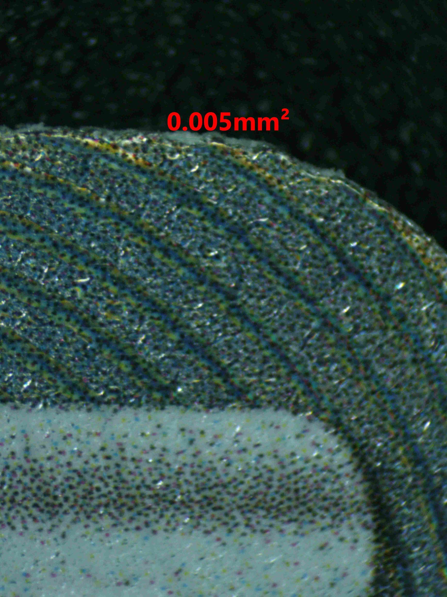 07622 BRUNO Grading Card