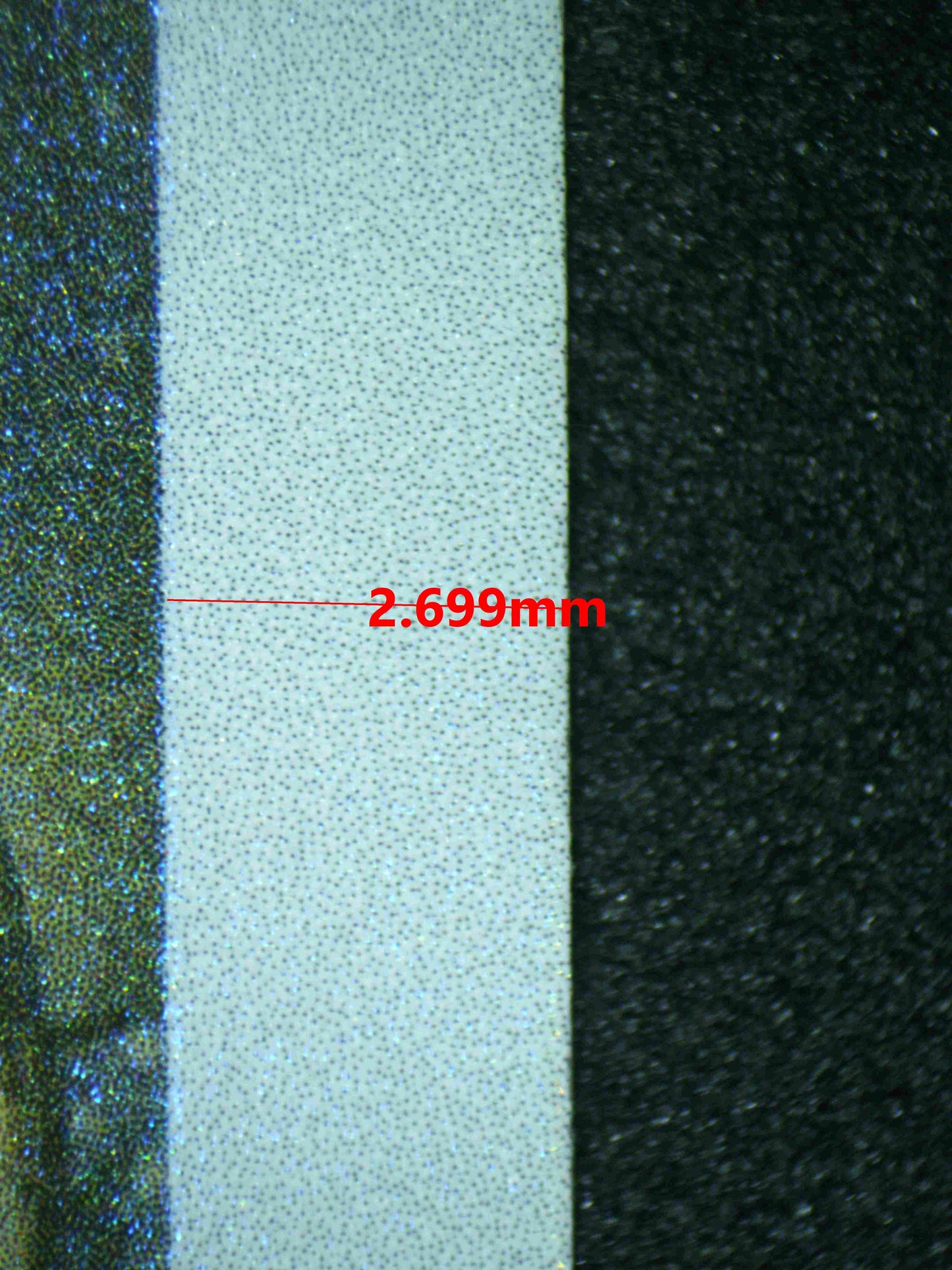 07691 FEEBAS Grading Card