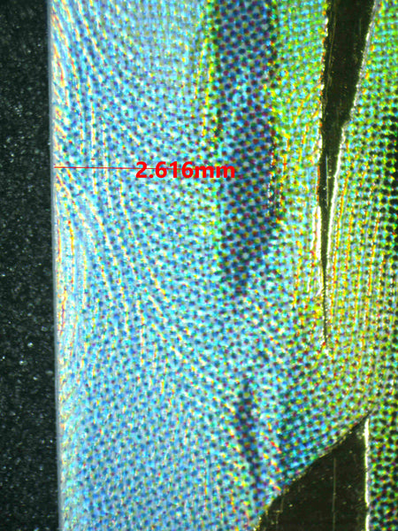 Extra 1