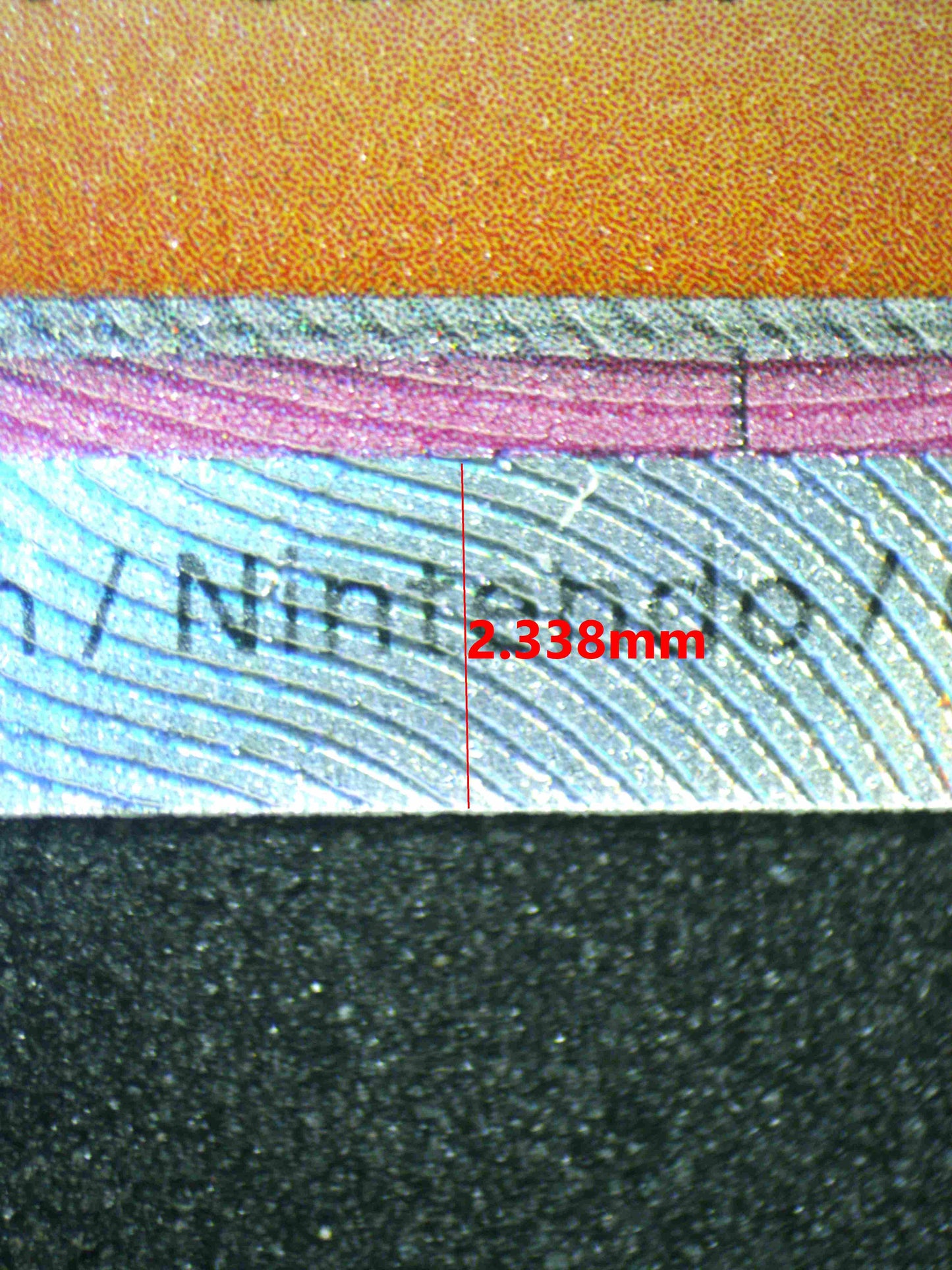 07781 JUDGE Grading Card