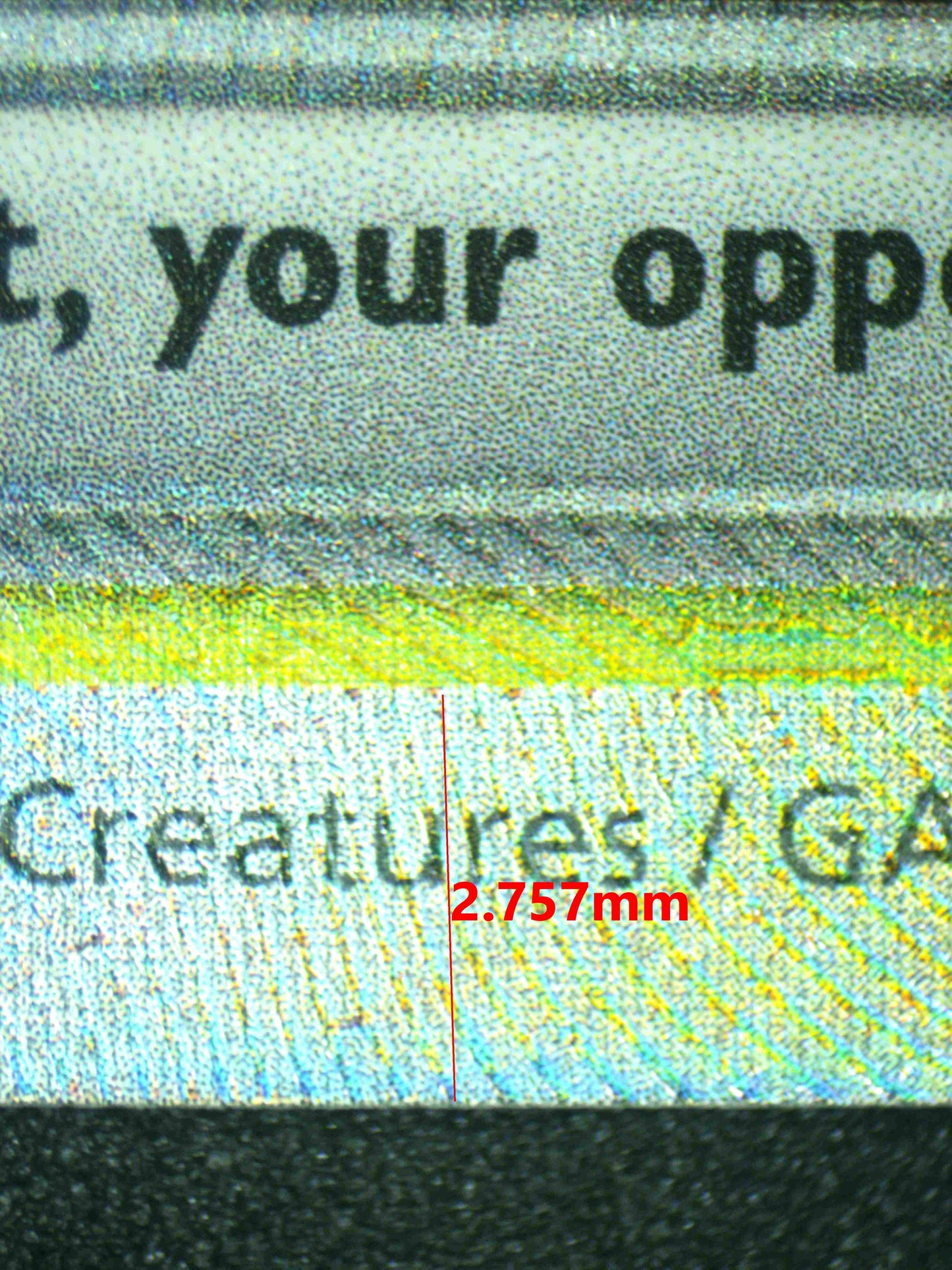 07782 ELECTIVIRE EX Grading Card