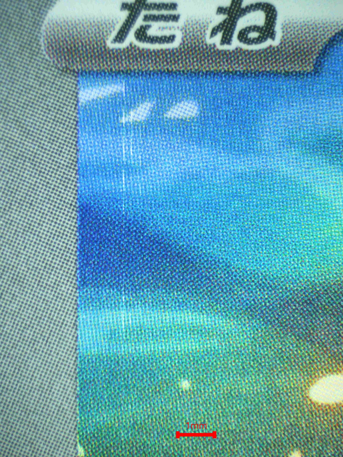 07787 MISTY'S PSYDUCK (JAPANESE)