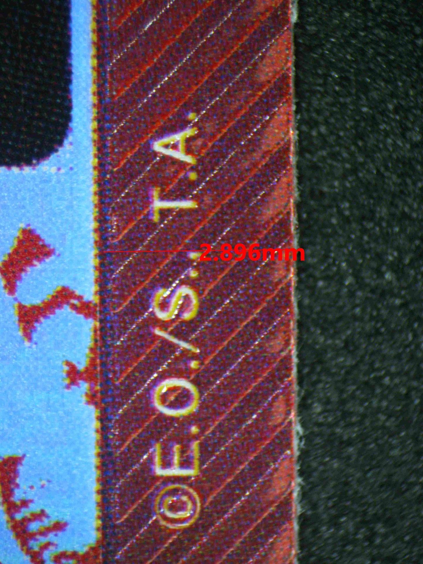 07803 SHANKS Grading Card