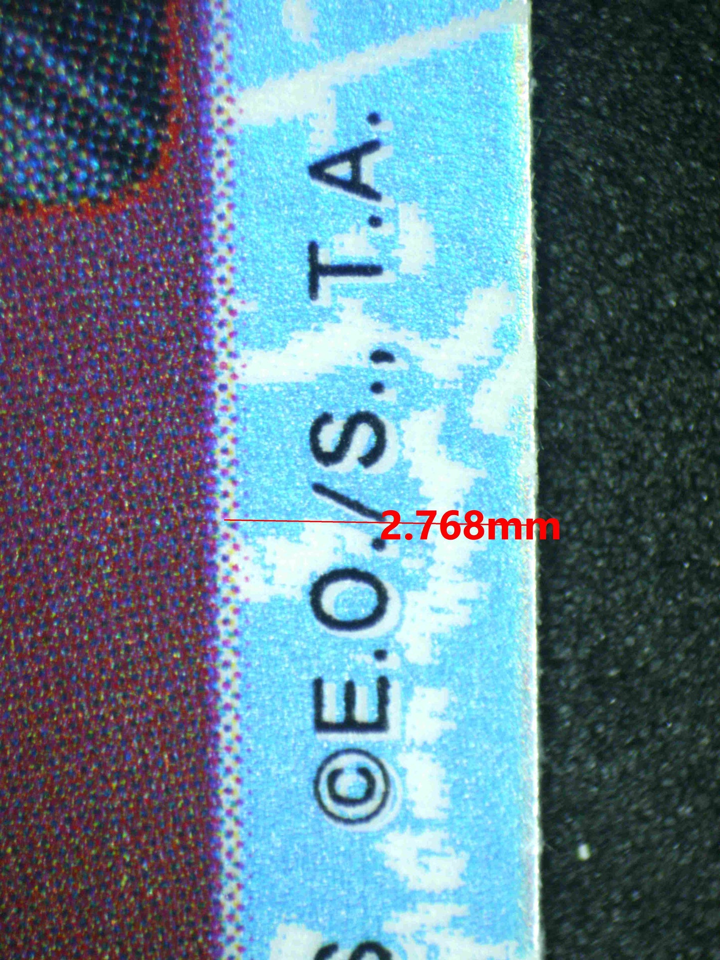 07844 SHANKS Grading Card