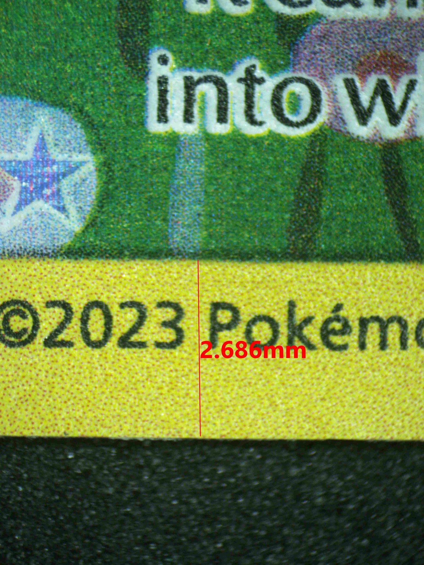 07904 DITTO