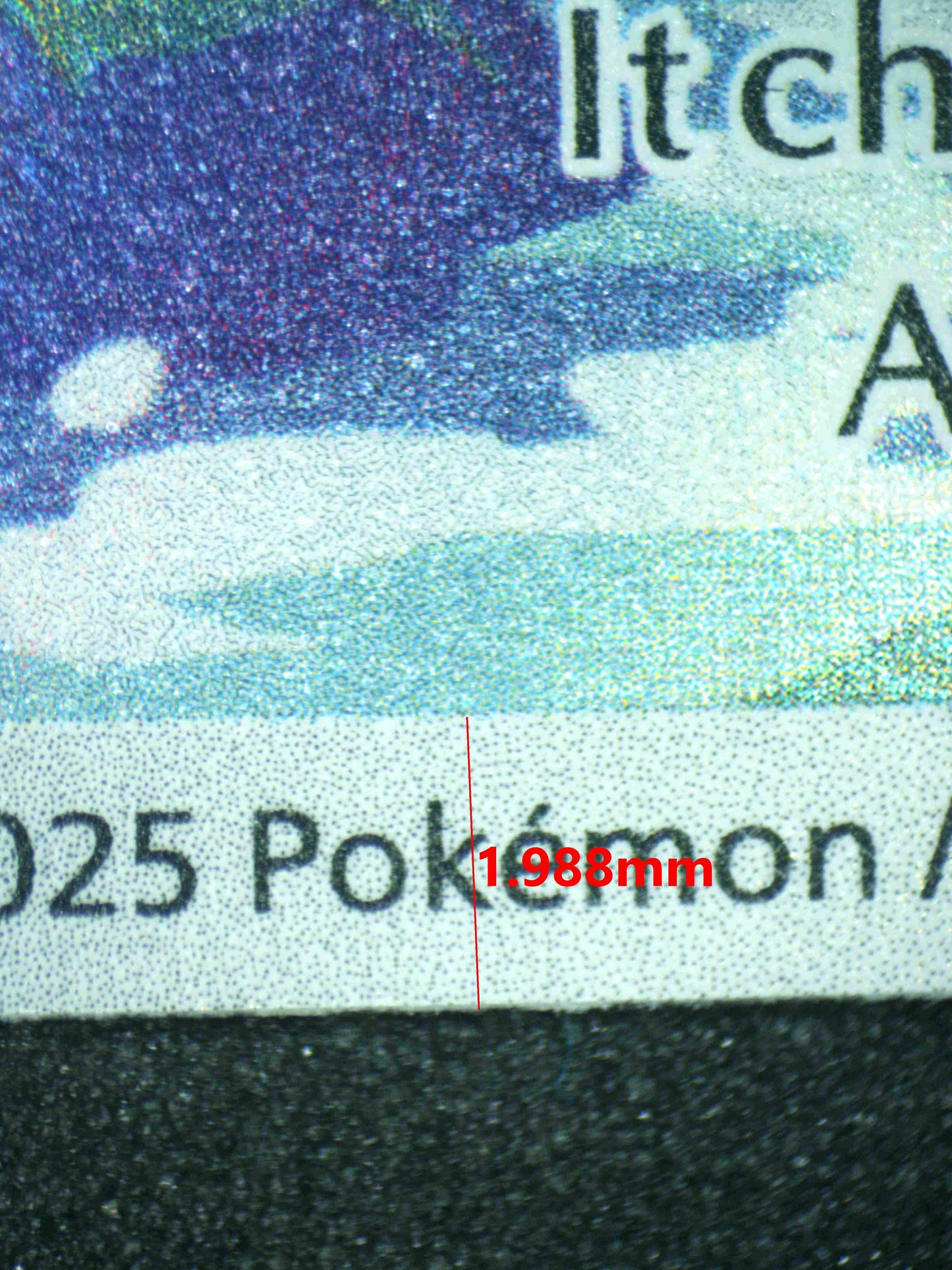 07960 ZORUA
