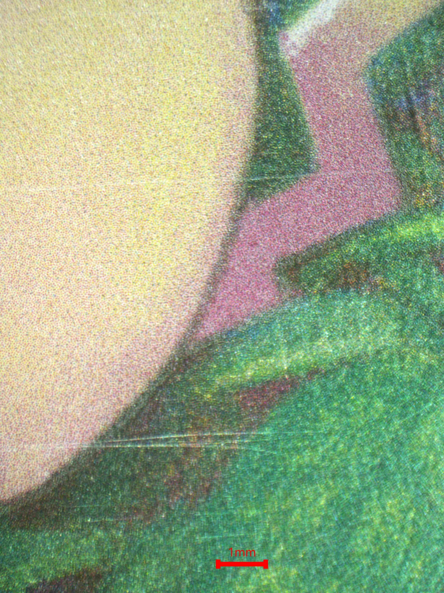 07977 PIKACHU