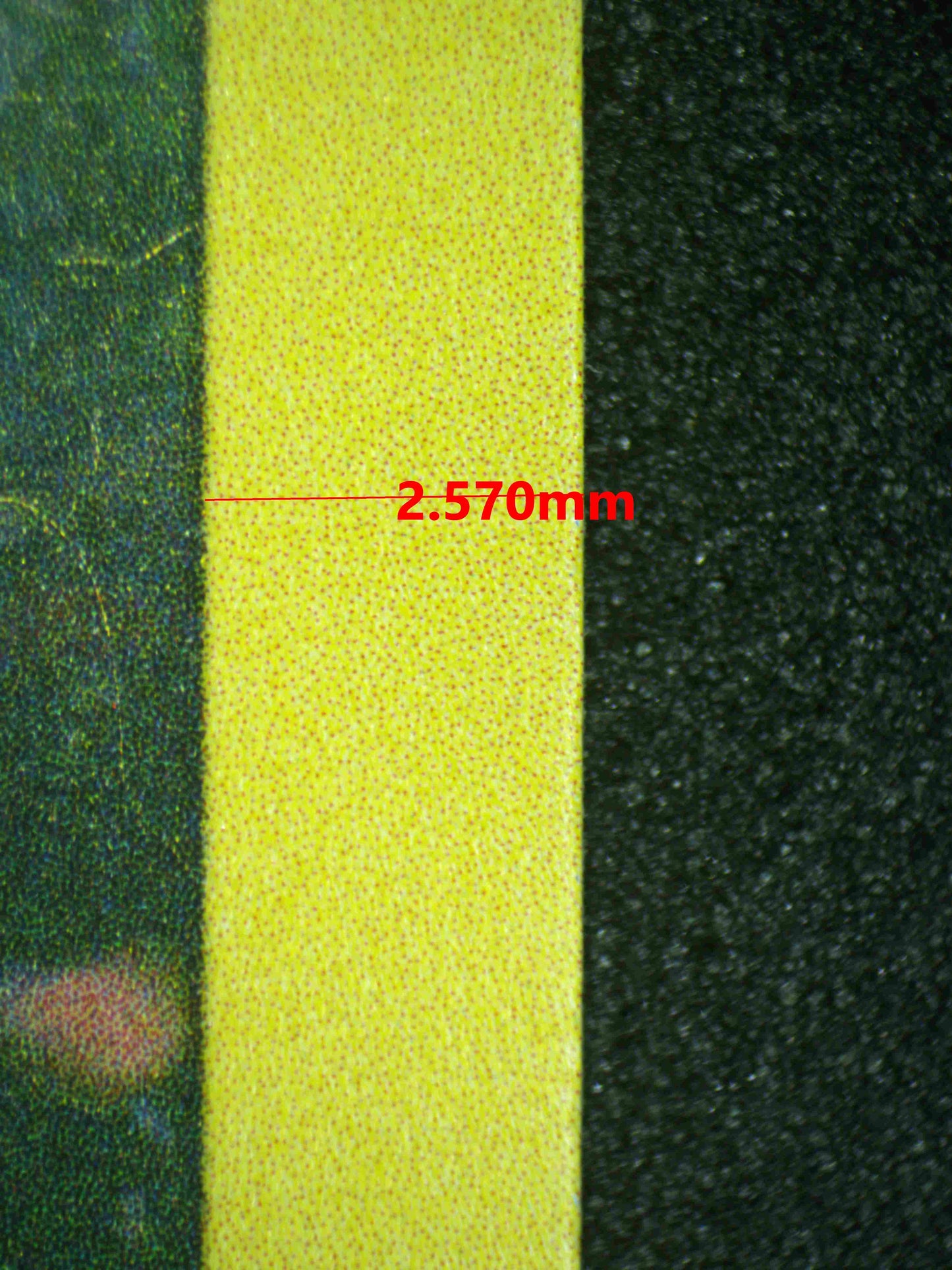 08041 POOCHYENA Grading Card