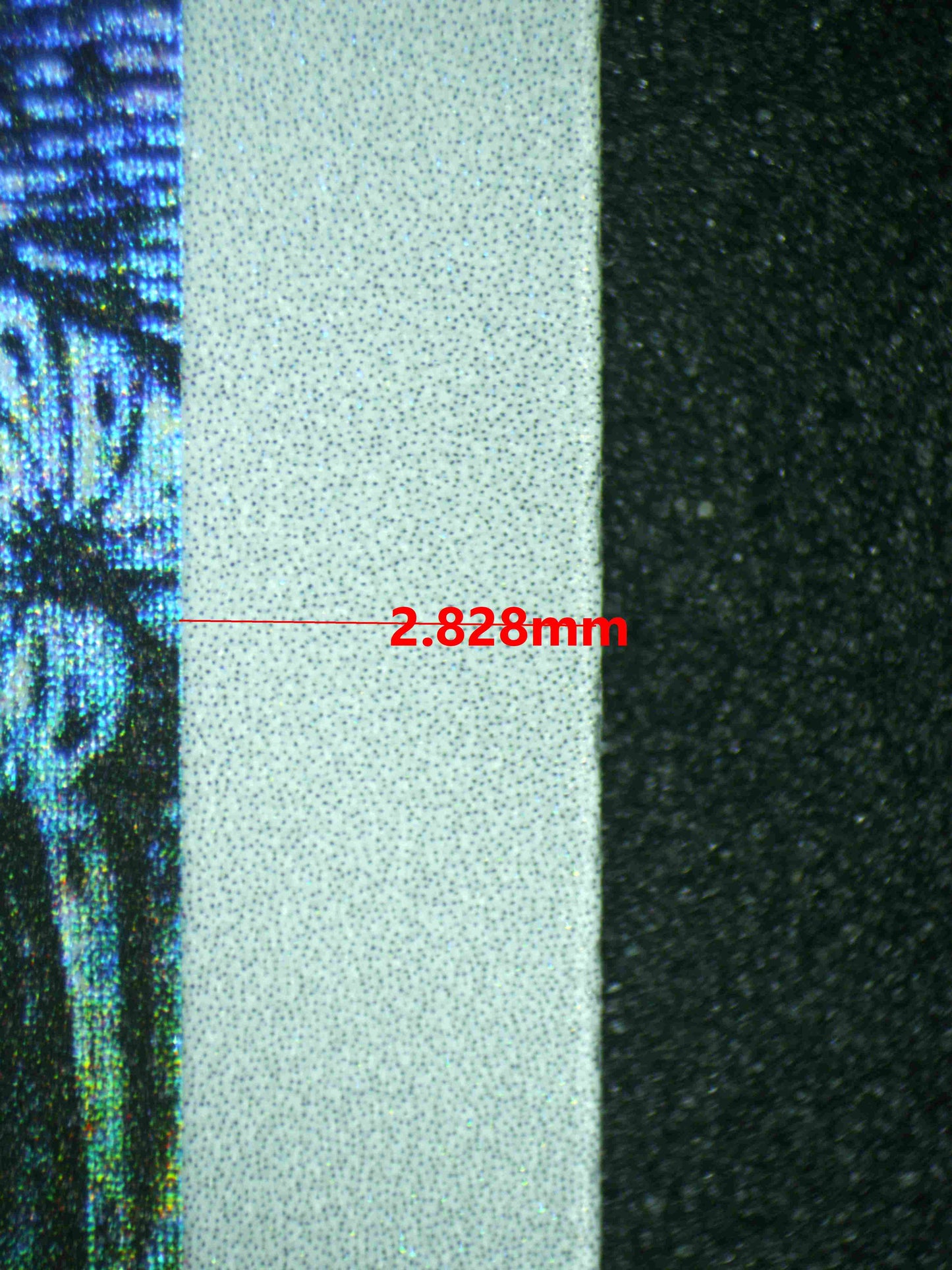 08165 MAGIKARP Grading Card