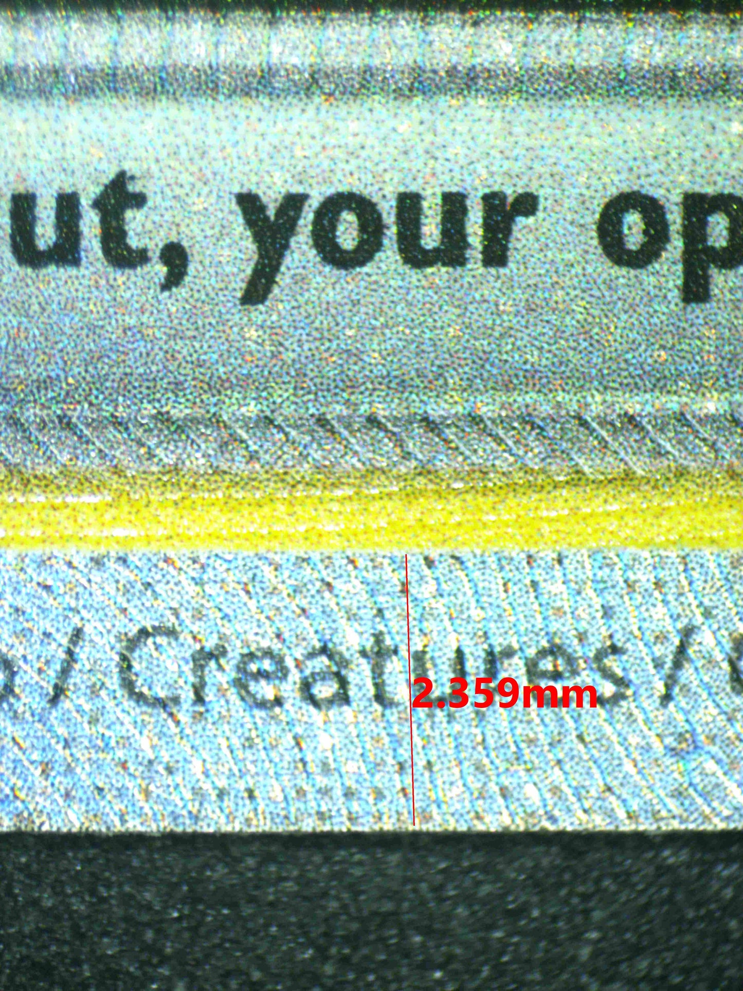 08081 GHOLDENGO EX Grading Card