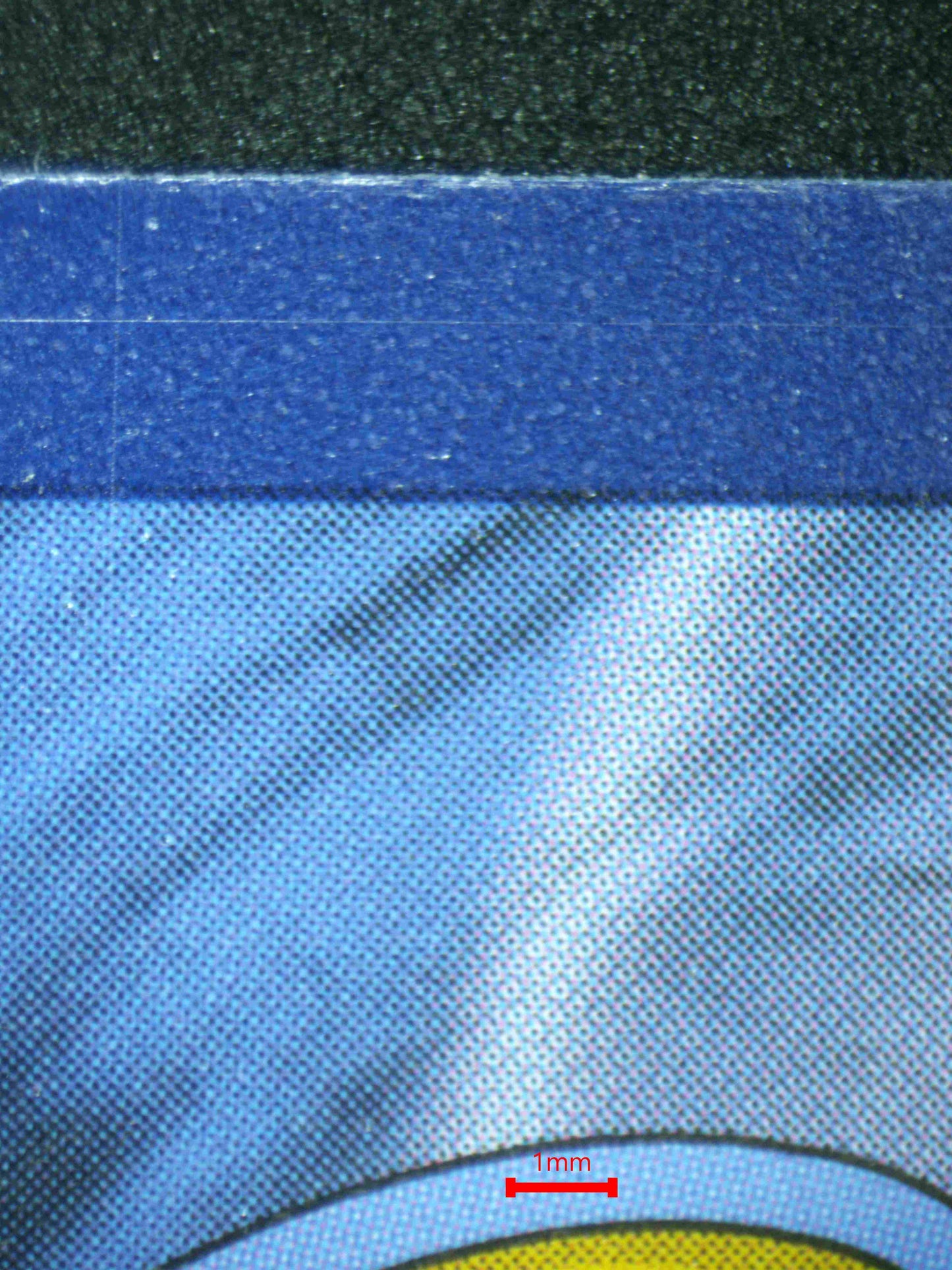 08083 MEW EX Grading Card