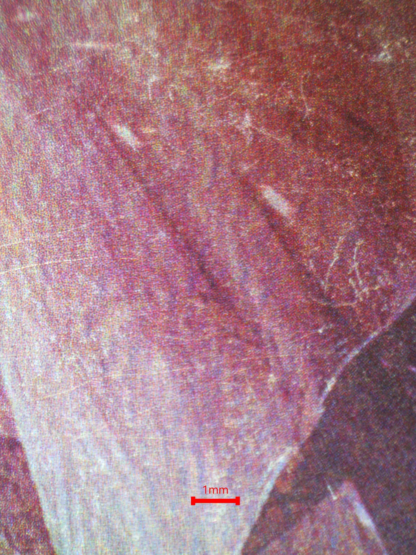 08090 GARDEVOIR Grading Card