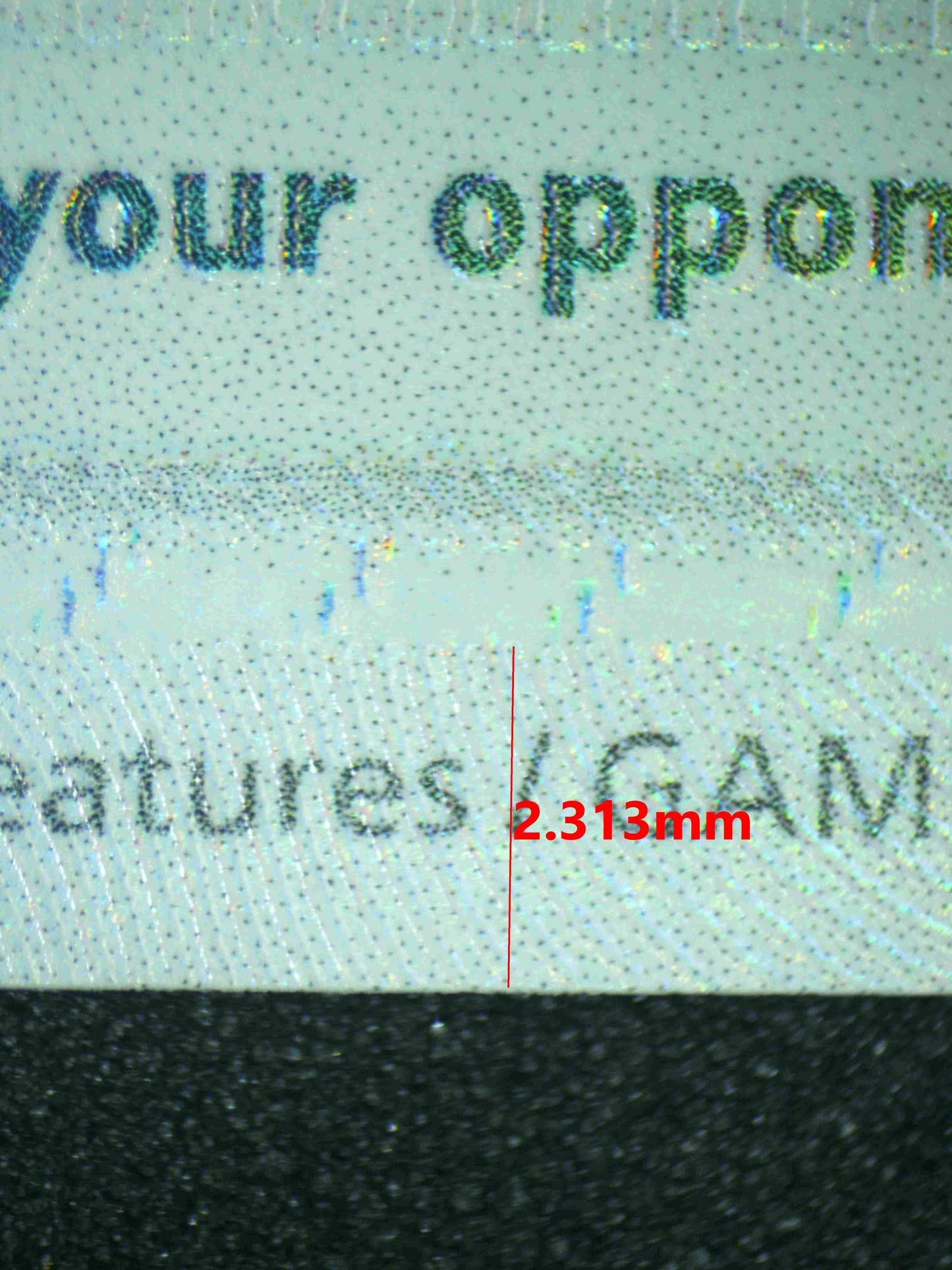 08279 RESHIRAM EX Grading Card