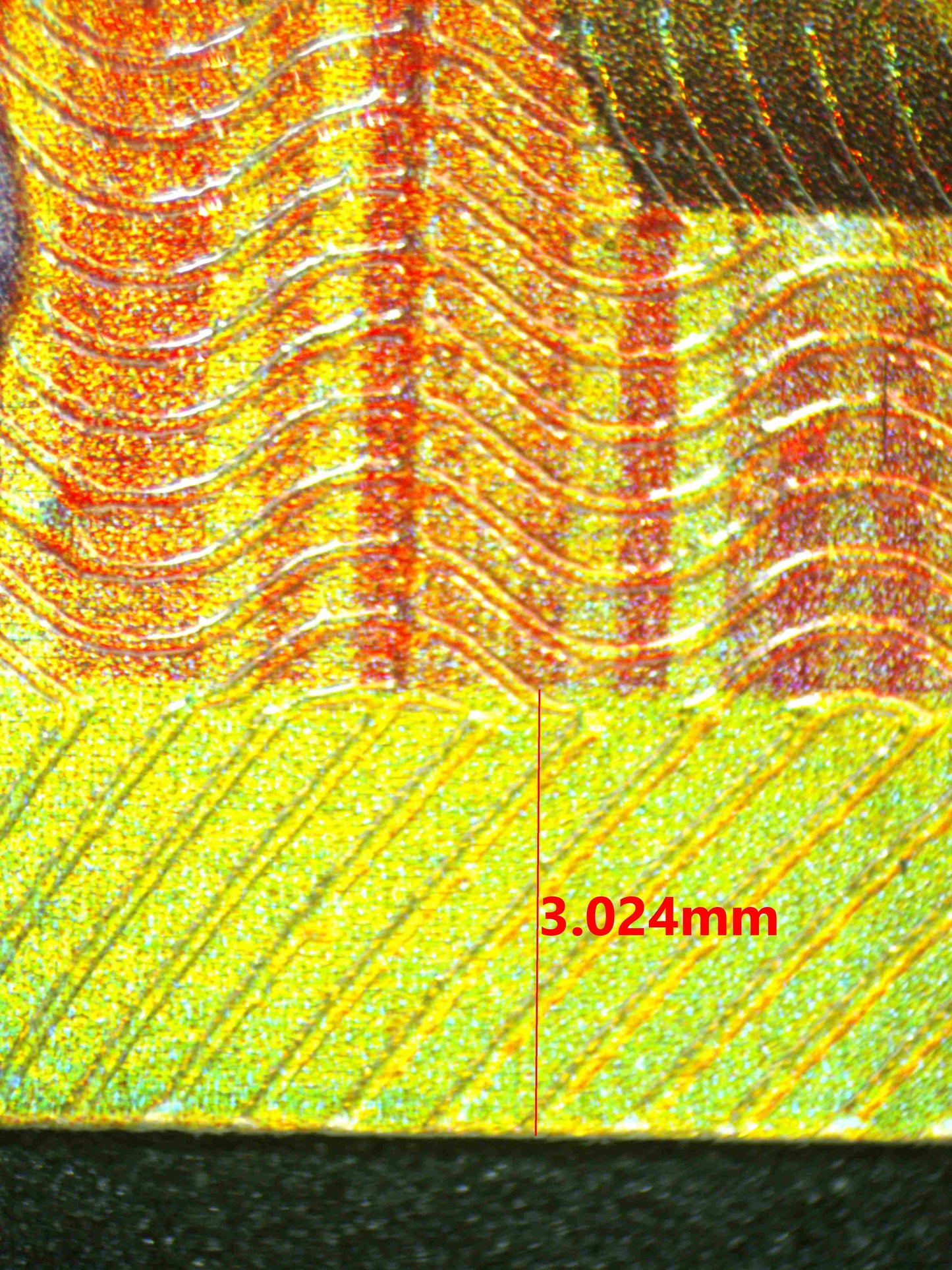 08276 MEWTWO EX Grading Card