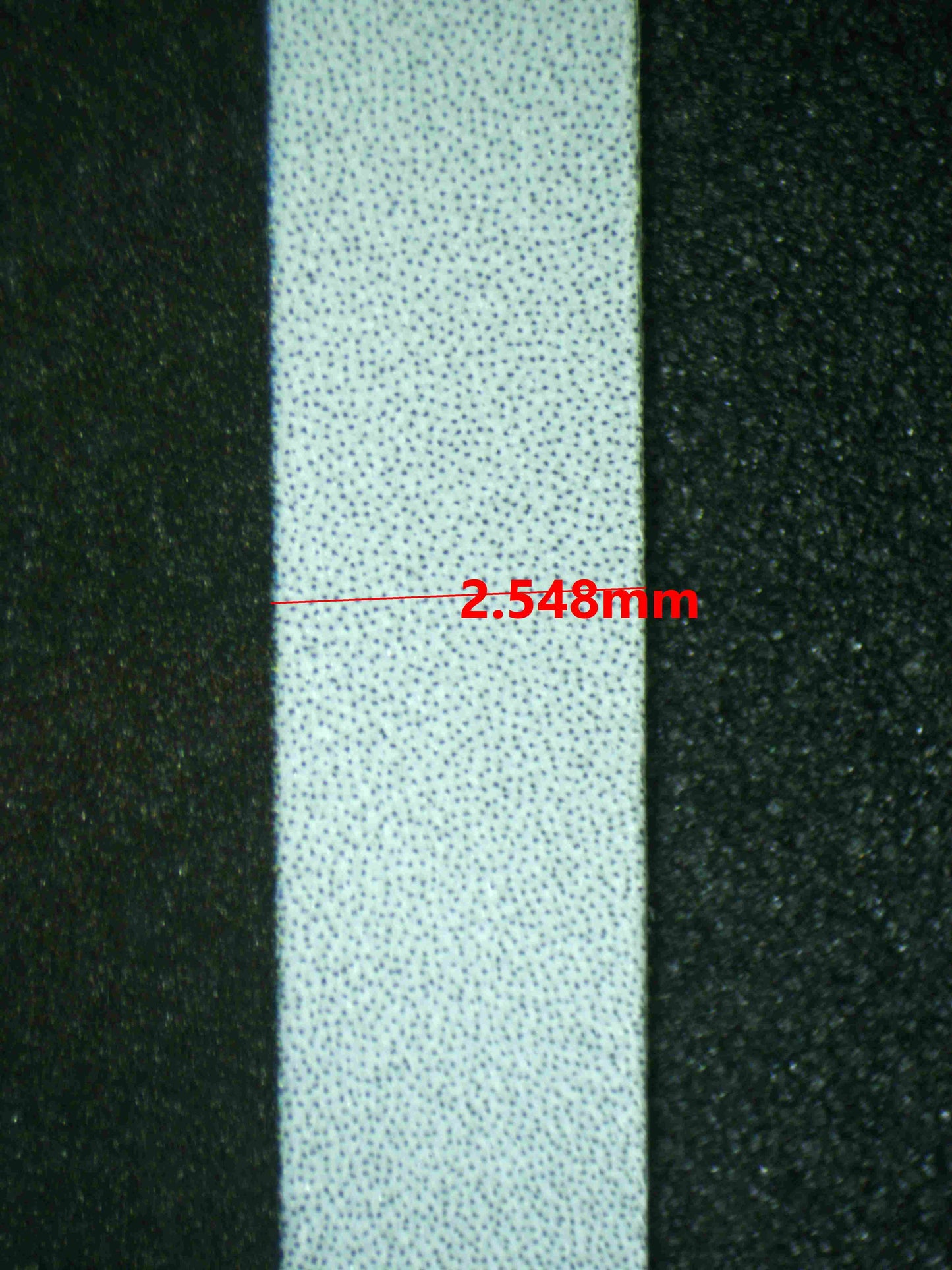 08295 CHARMANDER Grading Card