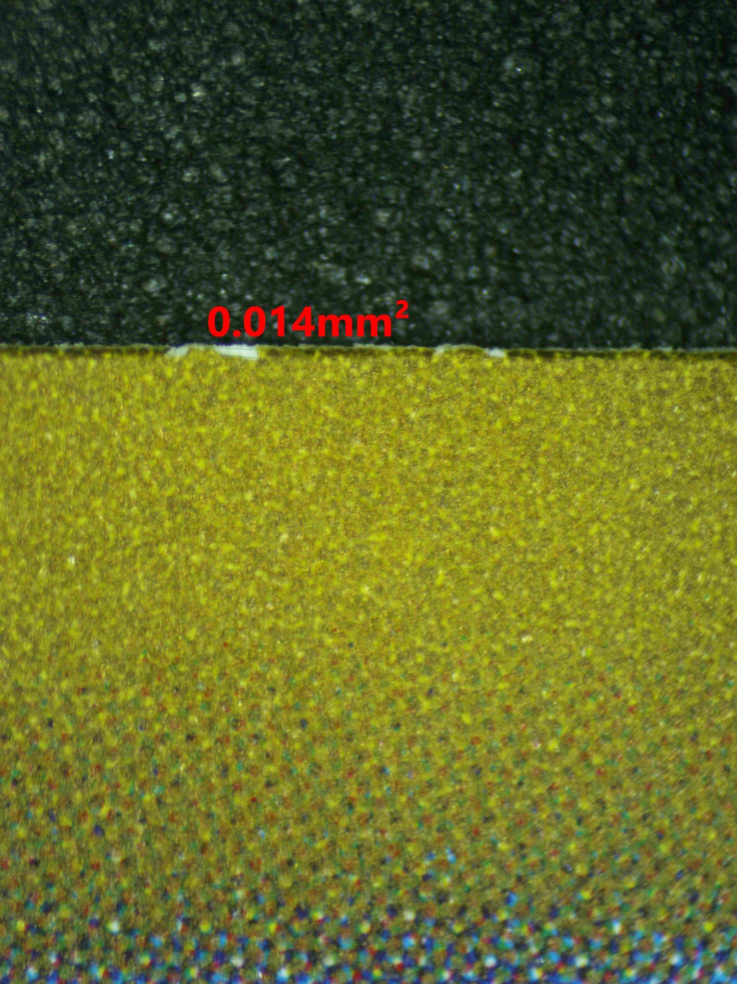 08474 WARTORTLE (JAPANESE)