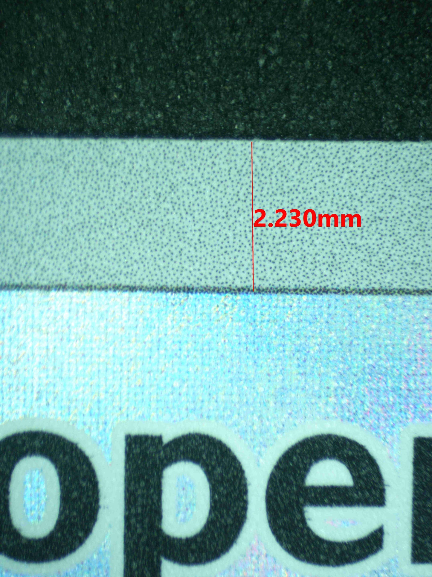 09643 PALDEAN WOOPER