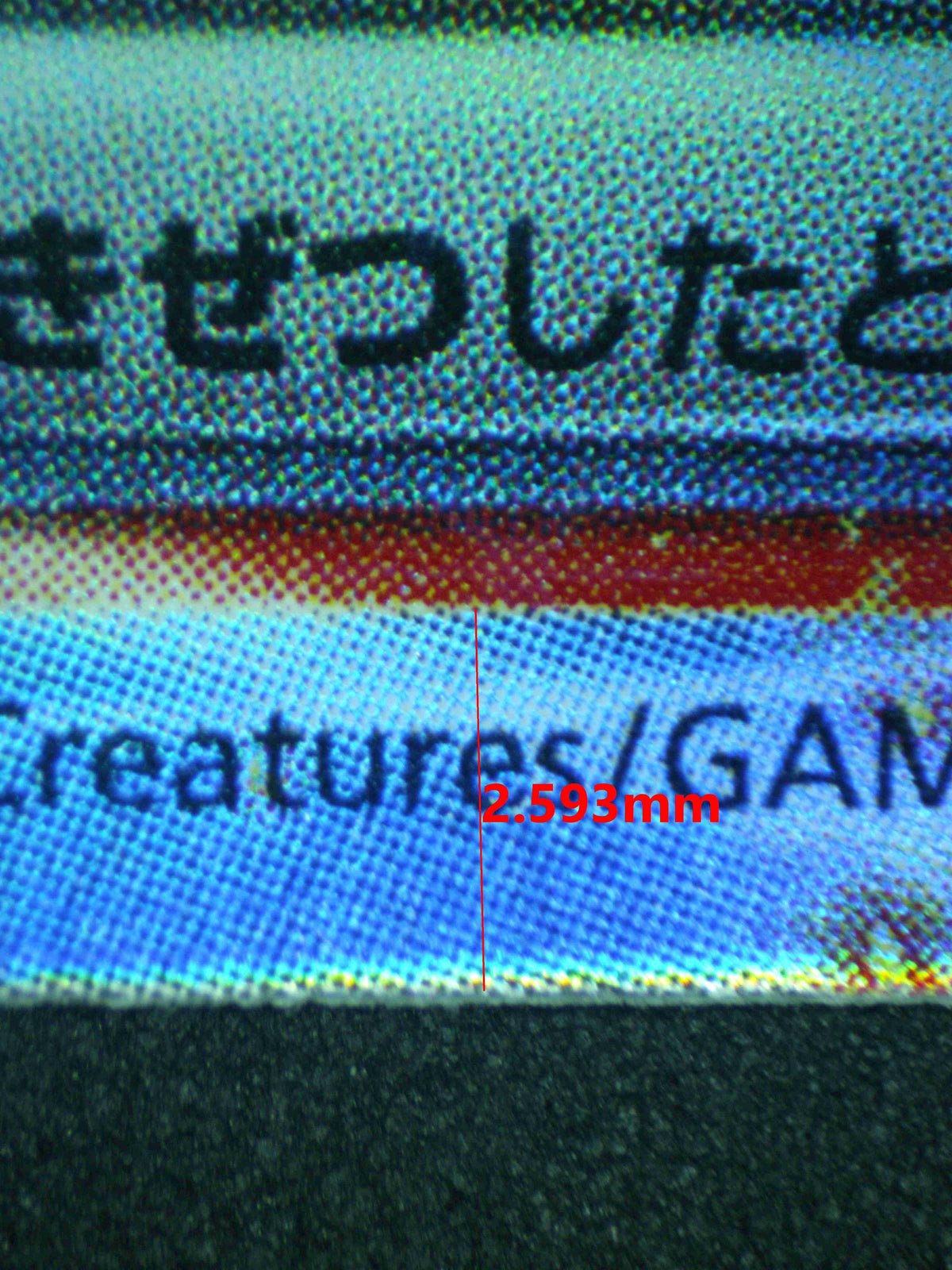 12040 CHARIZARD Ҽx (JAP)