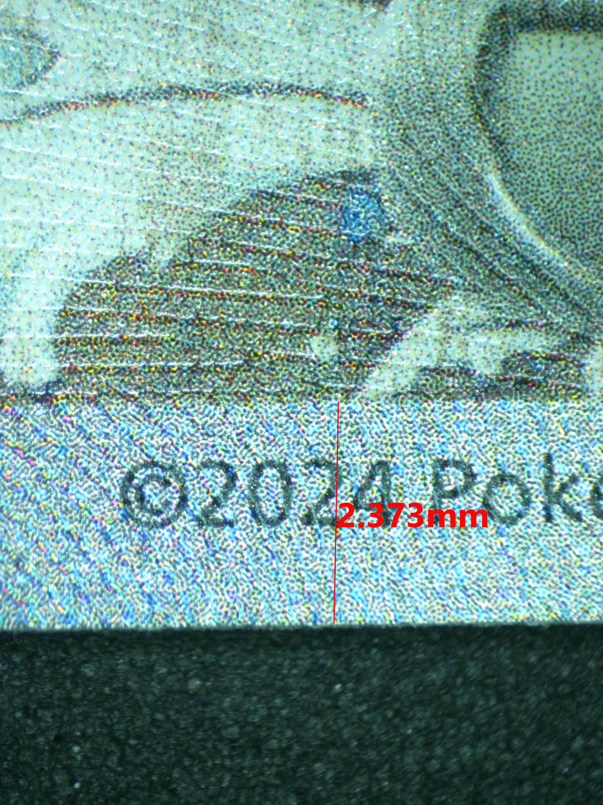 12393 KINGDRA Ҽx