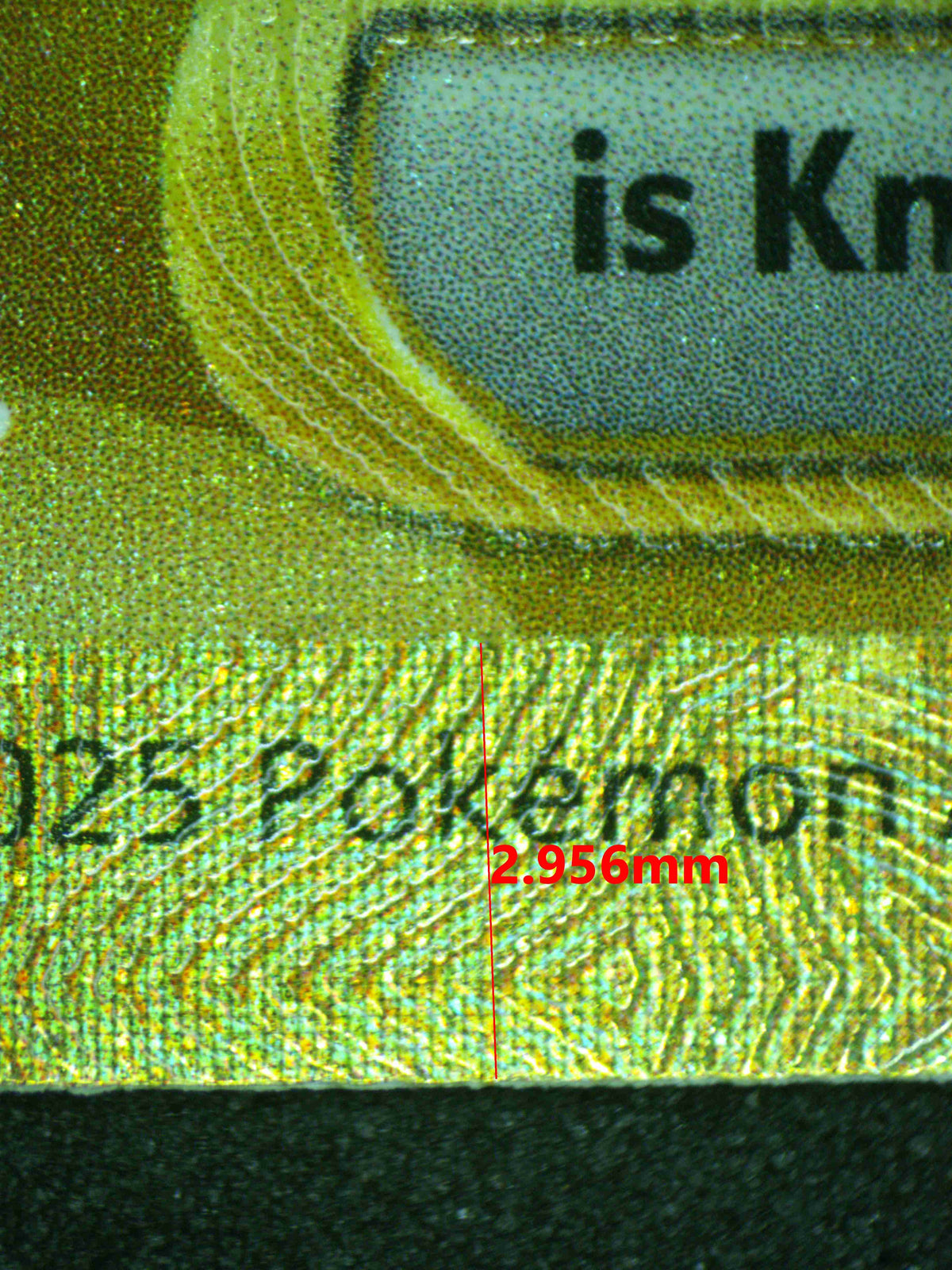 12493 PIKACHU Ҽx