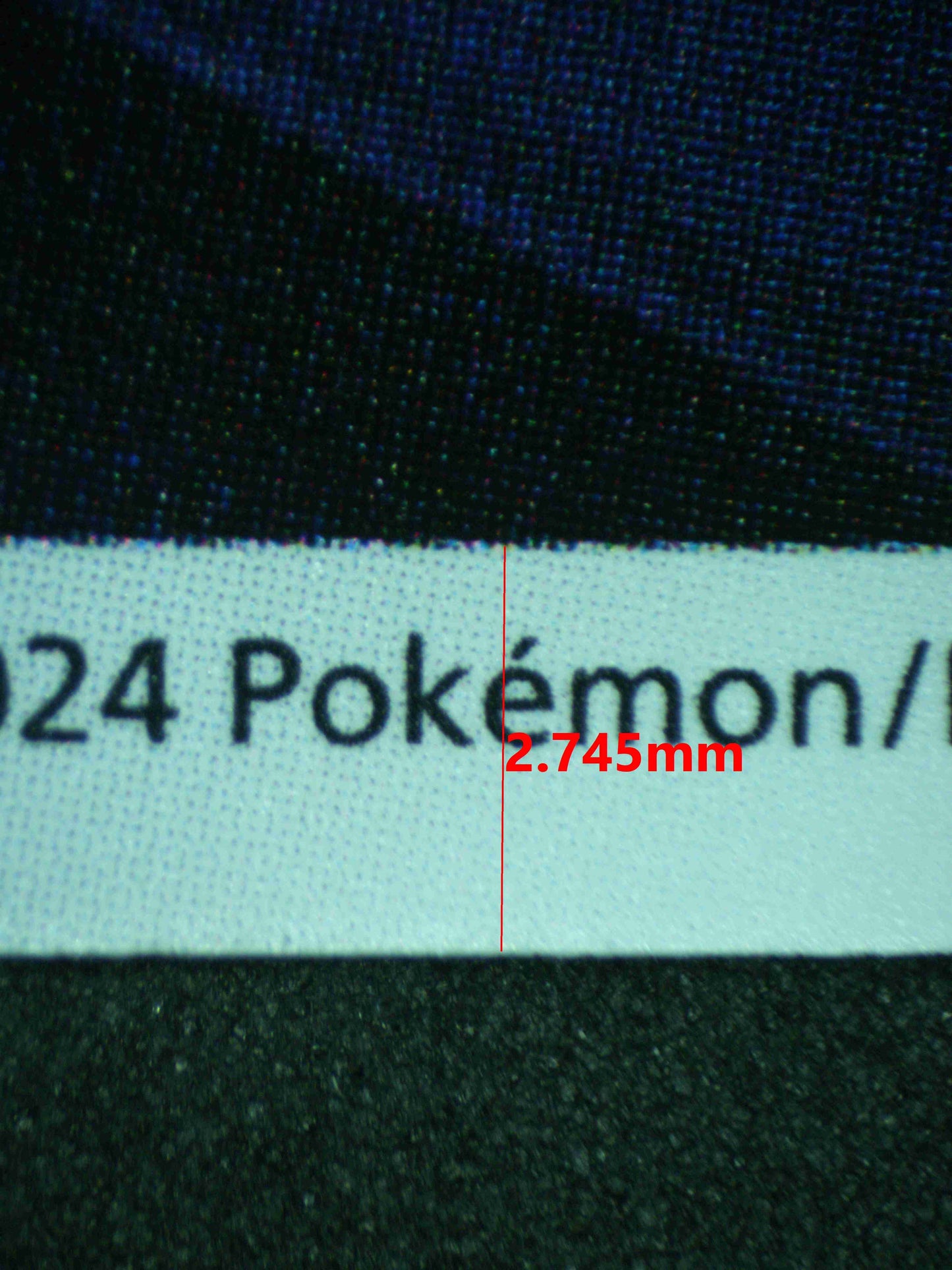 12576 CHARIZARD (CHN)