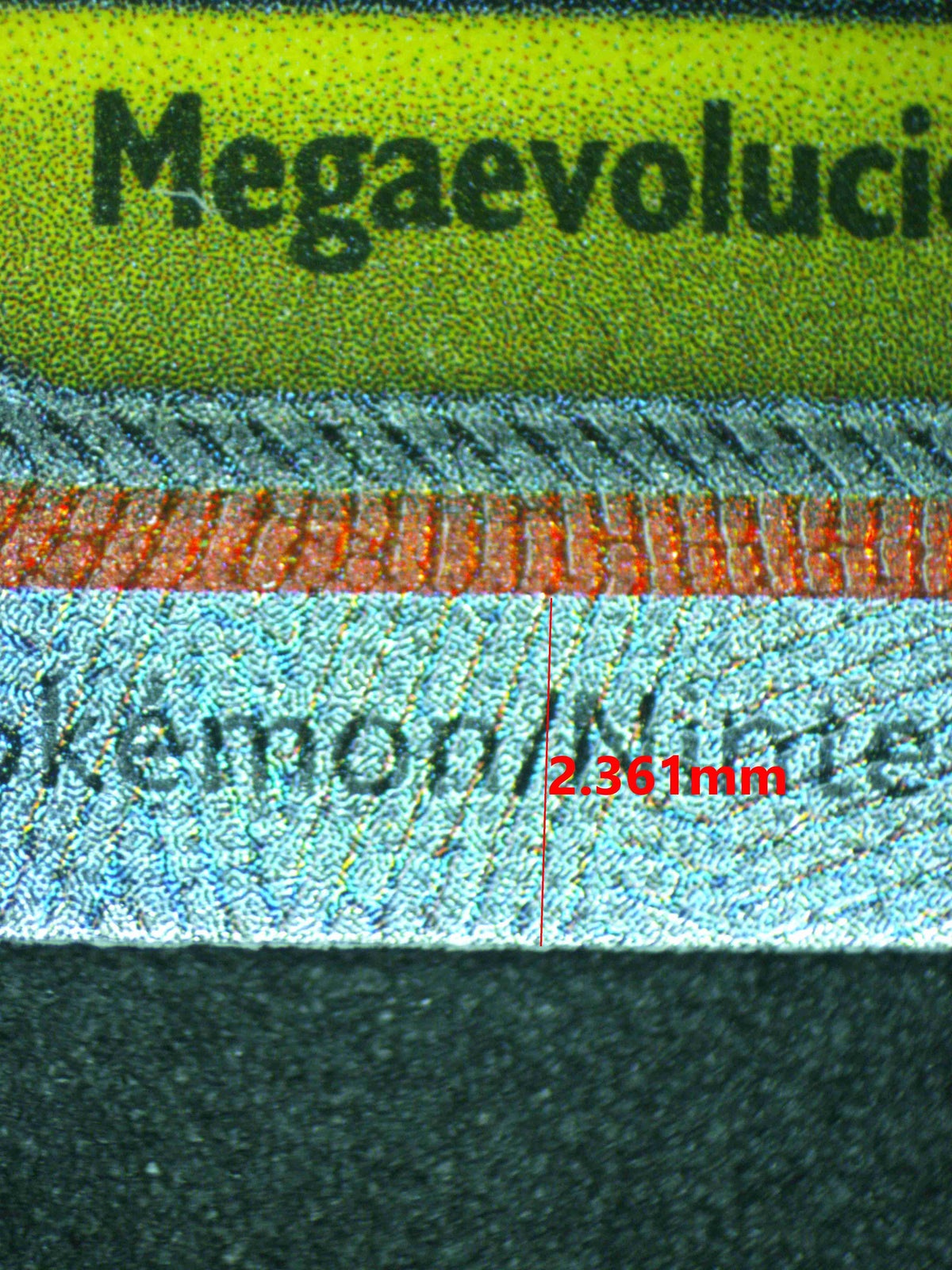 12669 MEGA GENGAR Ҽx (LAT)