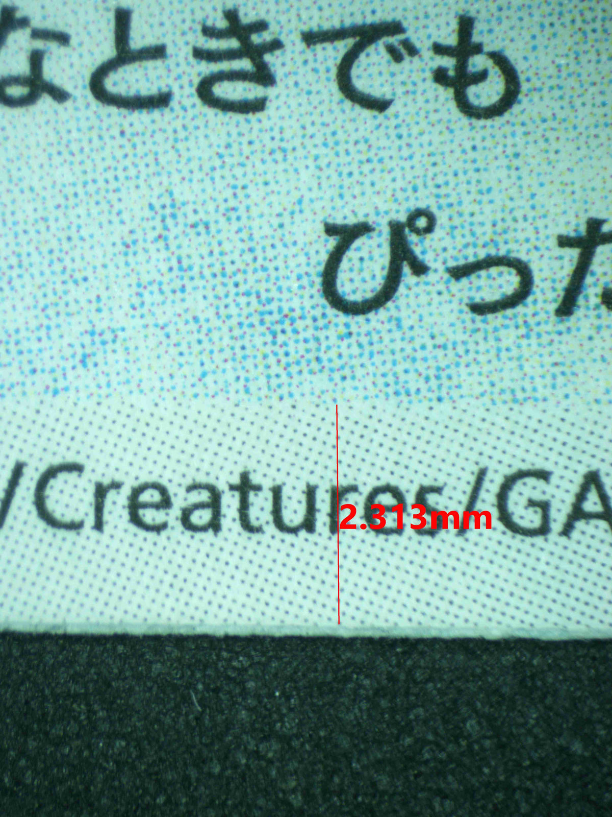 12677 TANDEMAUS (JAP)
