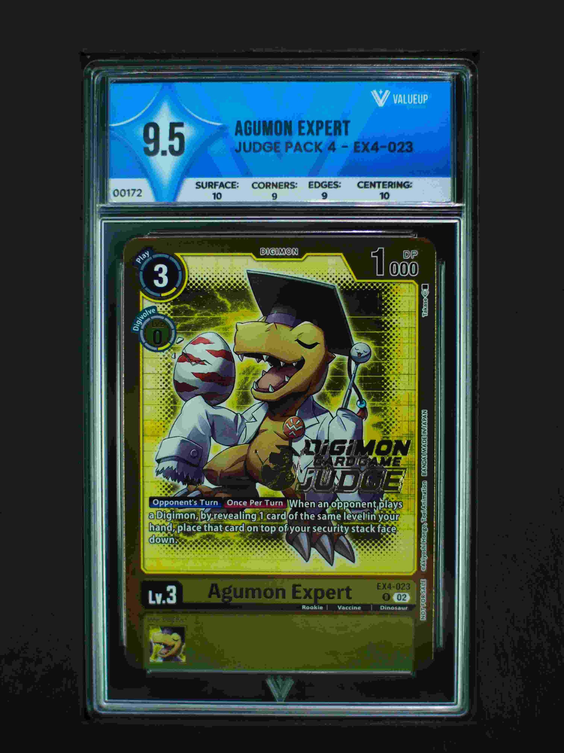 00172 AGUAMON EXPERT Grading Card