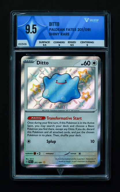 00306 DITTO