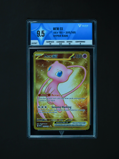 00387 MEW EX