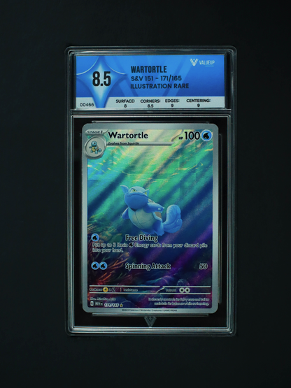 00466 WARTORTLE