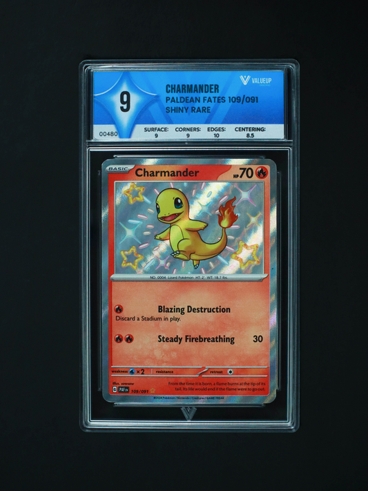 00480 CHARMANDER