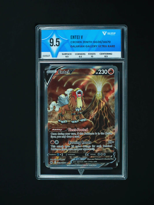 00507 ETNEI V Grading Card