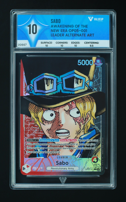 00667 SABO