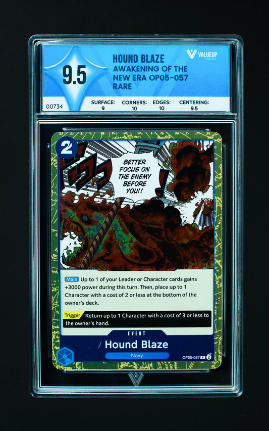 00734 HOUND BLAZE Grading Card