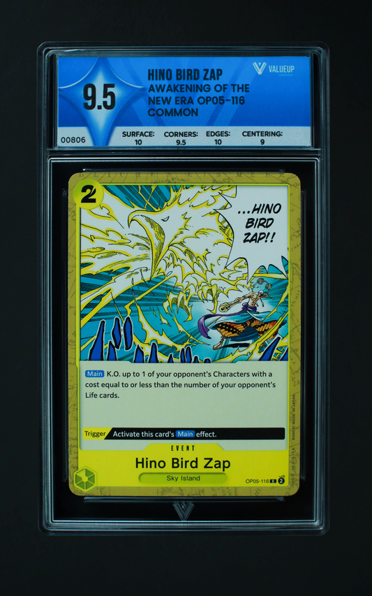 00806 HINO BIRD ZAP