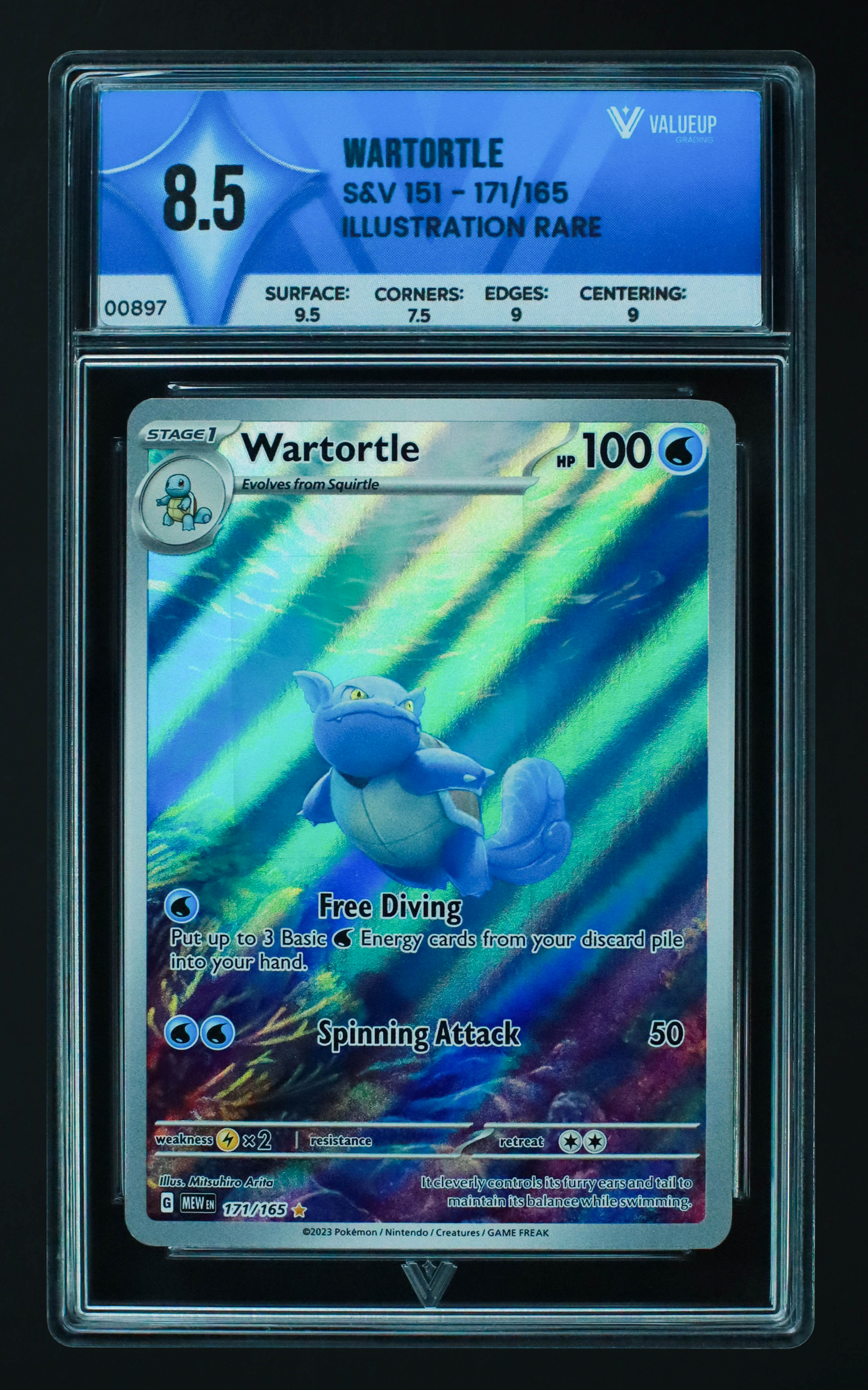 00897 WARTORTLE