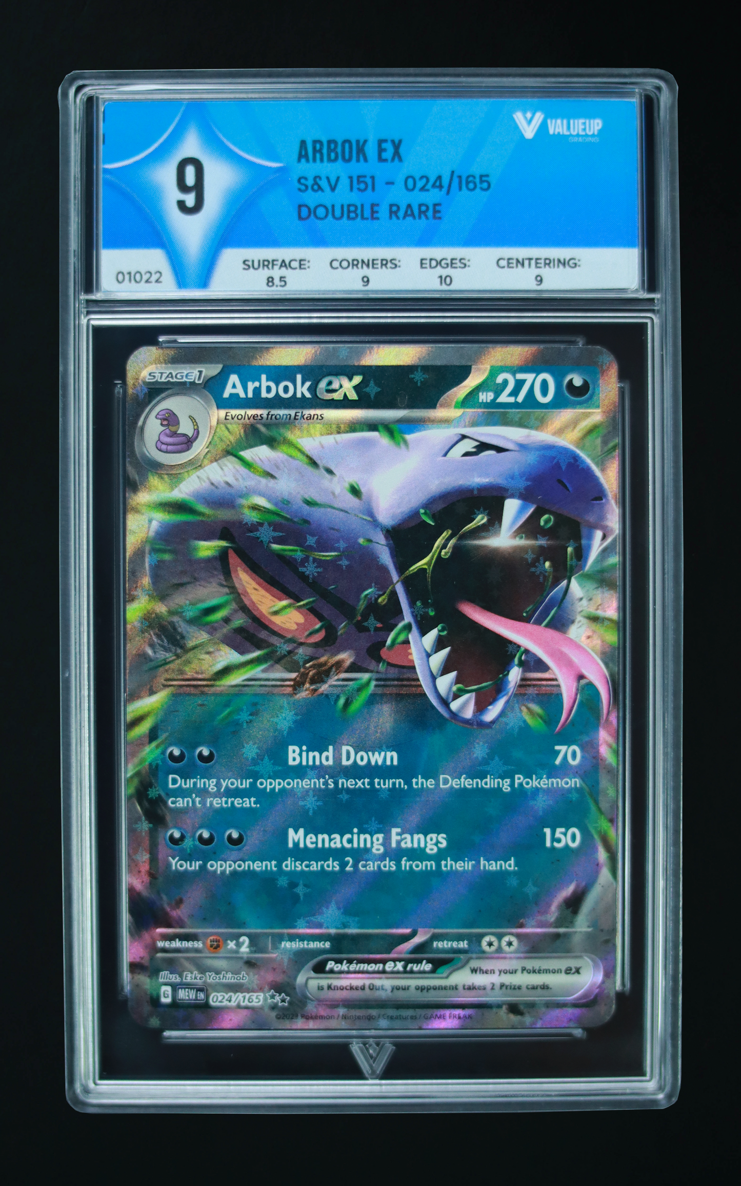 01022 ARBOK EX