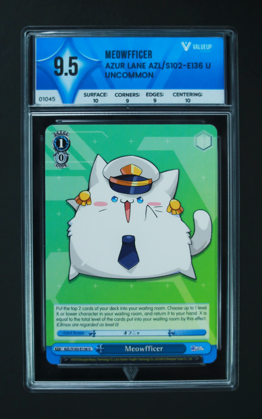 01045 MEWOFFICER